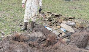 All Repair Septic Service