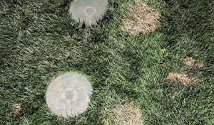 Sweet Septic Systems