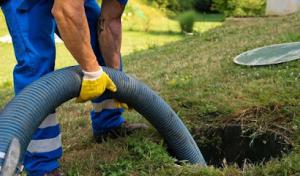 Whitetail Septic