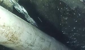 Ray's Septic Pumping
