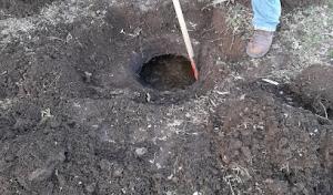 Southwest Septic Pumping