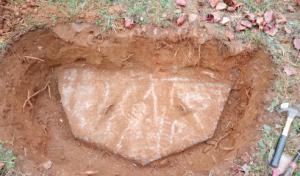 You Dig It! Septic & Cajun Royal Flush-Restrooms
