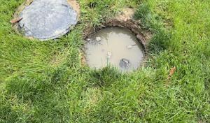 Thin Line Septic Inspections