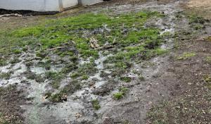 Patriot Home & Septic Inspections