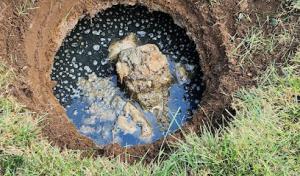 Sudano Septic & Sanitation
