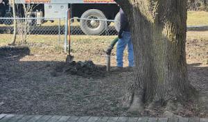 Wray's Septic Tank & Development