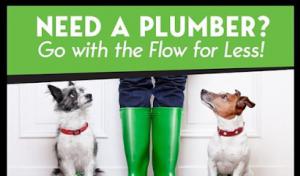 Pro Flow Rooter & Septic