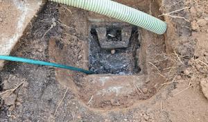Willie's Septic Services