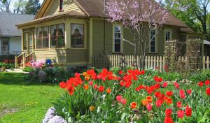 AMC Septic Design & Testing Services