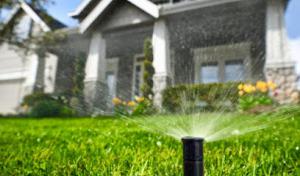 Randy's Septic Services