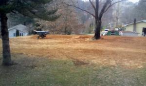 Cooper Septic Tank Services