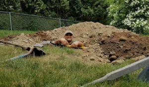 The Chase/Harris Septic