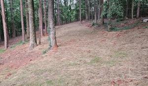 A&B septic services