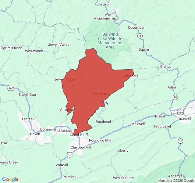 Map of septic coverage in Cedar Bluff, VA