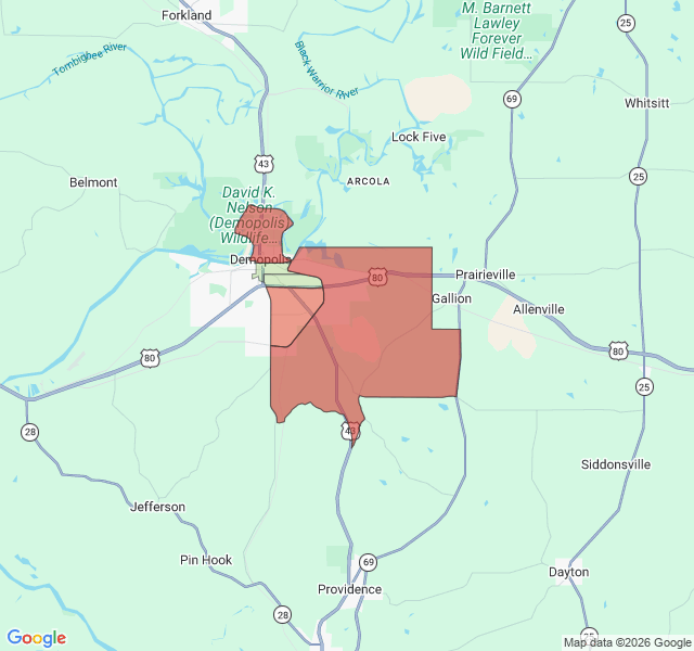 Map of septic coverage in Demopolis, AL