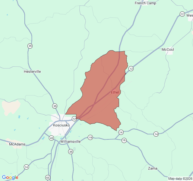 Map of septic coverage in Ethel, MS