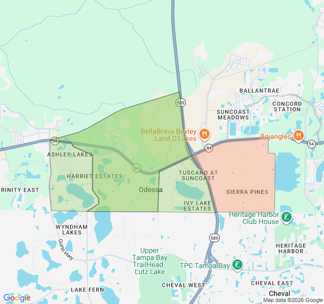 Map of septic coverage in Odessa, FL