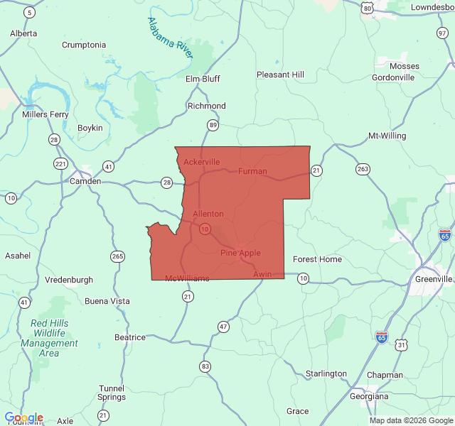 Map of septic coverage in Pine Apple, AL