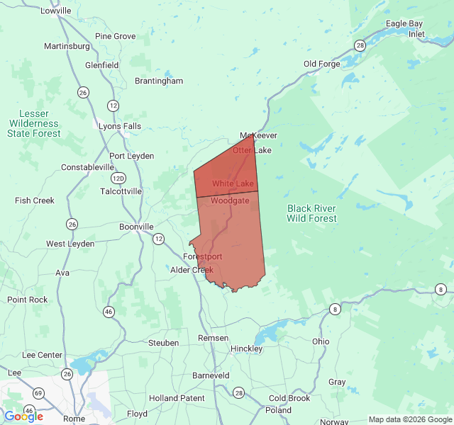 Map of septic coverage in White Lake, NY